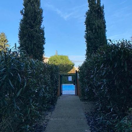 City Rose T2 Ensoleille-Piscine-Parking Prive -Fibre -Balcon Toulouse Bagian luar foto